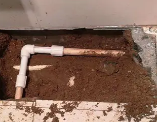 镇海测漏水哪家好