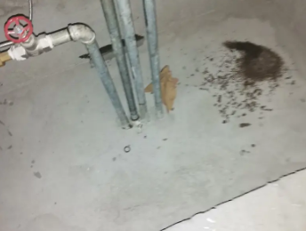 镇海卫生间测漏水价格明细