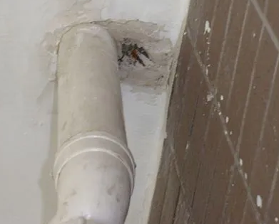 镇海漏水检测哪家好